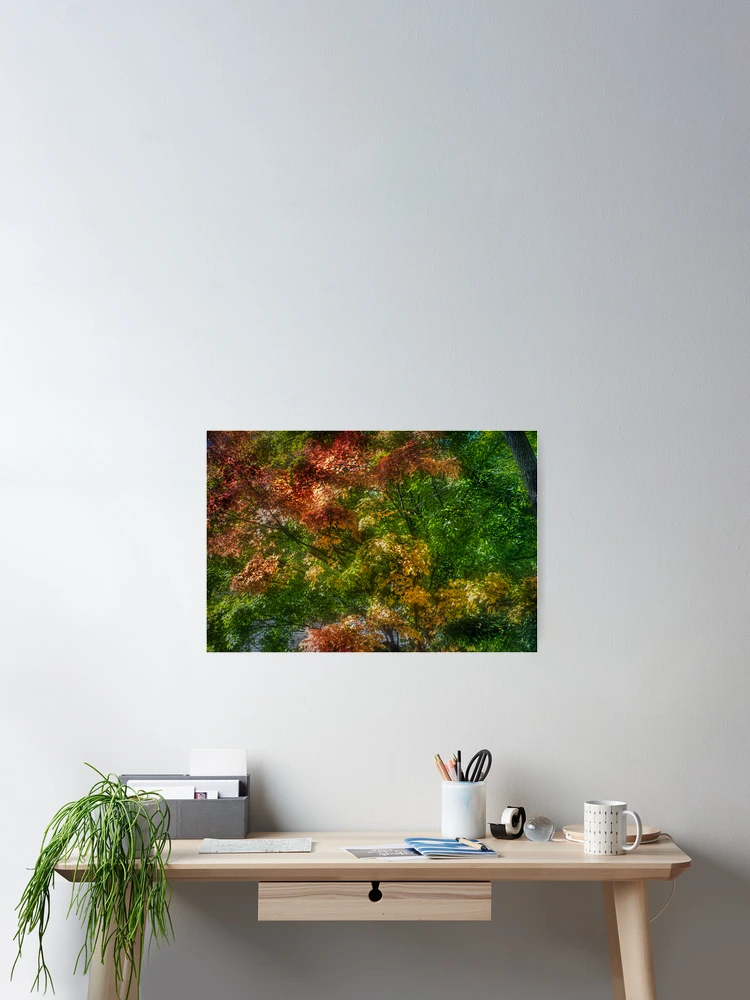 Thumbnail 2 of 3, Poster, Fall Foliage.. designed and sold by raberry.
