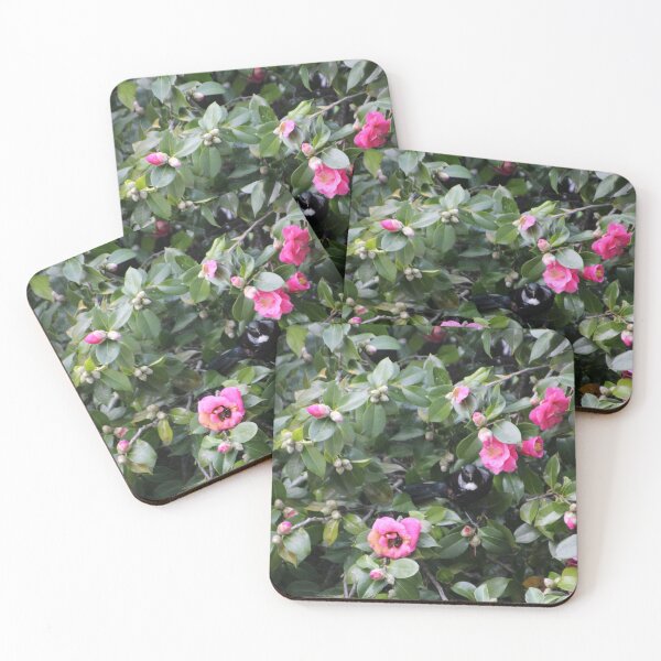 Item preview, Tūī in the pink designed and sold by KiwiImages.