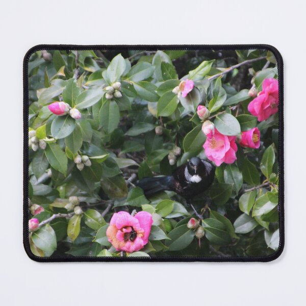 Item preview, Tūī in the pink designed and sold by KiwiImages.