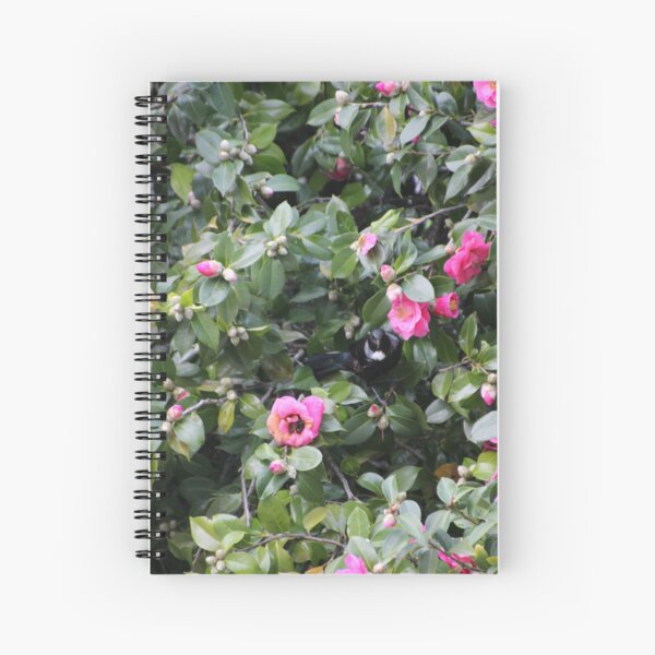 Item preview, Tūī in the pink designed and sold by KiwiImages.