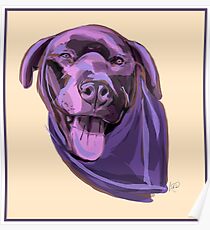 Kona Dog Poster