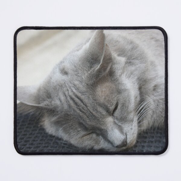 Item preview, Beautiful Grey Cat Sleeping Photograph designed and sold by taiche.
