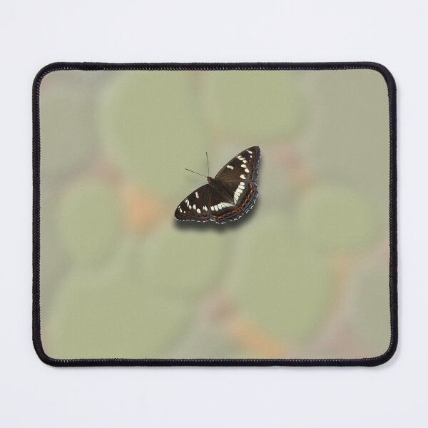 Item preview, Dawn of the Forest, beveled pattern with butterfly designed and sold by Arto Järvinen.