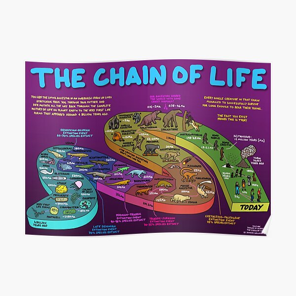 The Chain of Life - Your Evolutionary History Poster
