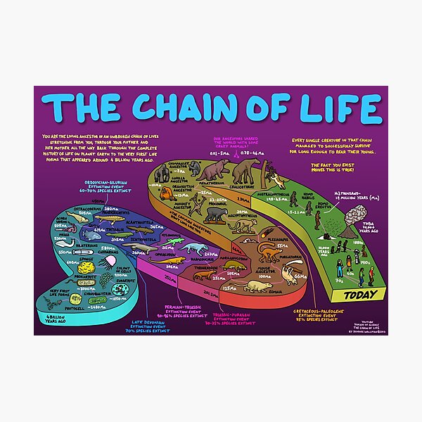 Item preview, The Chain of Life - Your Evolutionary History designed and sold by DominicWalliman.
