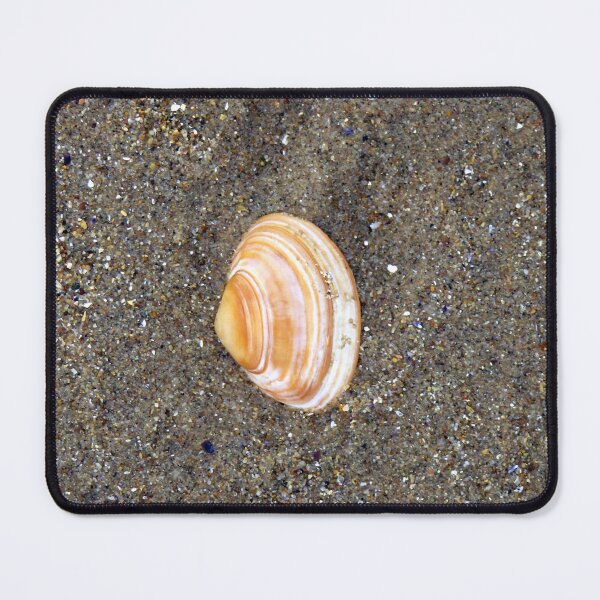 Item preview, shell designed and sold by KathleenDawson.
