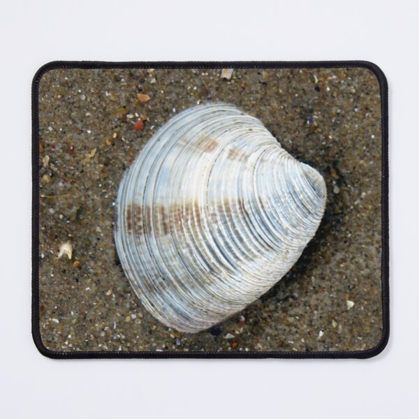 Item preview, shell designed and sold by KathleenDawson.