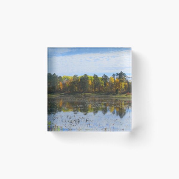 Item preview, Lake in Autumn at Itasca State Park designed and sold by Debbie Center.