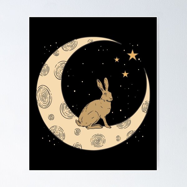 rabbit in the moon