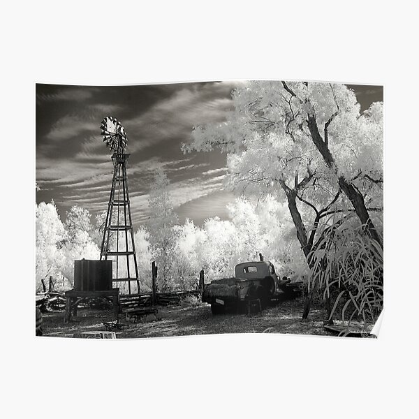 Down on the Farm Poster