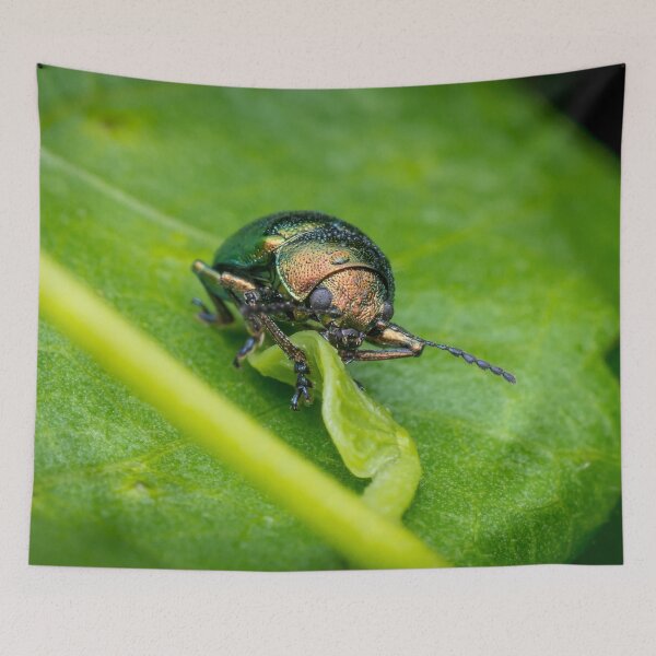 Item preview, A gorgeous metallic leaf beetle (Nodina sp) munching on a leaf designed and sold by AvonPerception.