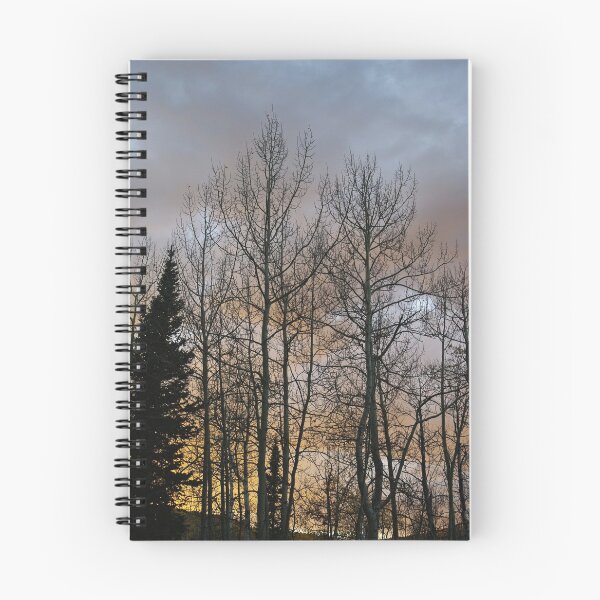Item preview, Evening designed and sold by Gary Benson.
