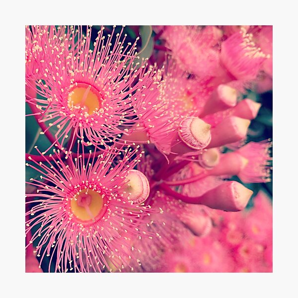 Item preview, Pretty in pink - flipped designed and sold by Ánika Warren-Smith.