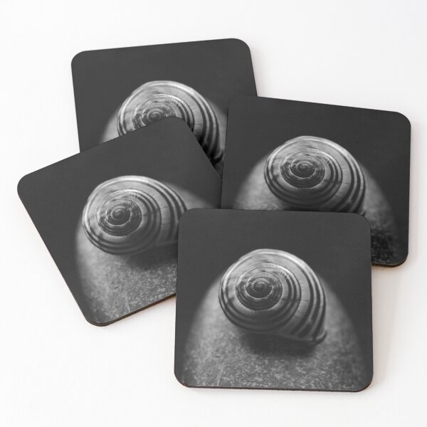 Item preview, shell on stone designed and sold by iago rodriguez dopico.