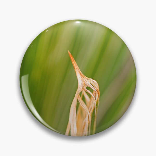 Item preview, New Leaf Of Fan Palm designed and sold by Joy Watson - Natural Light Photography .