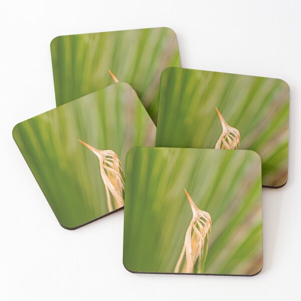 Item preview, New Leaf Of Fan Palm designed and sold by Joy Watson - Natural Light Photography .