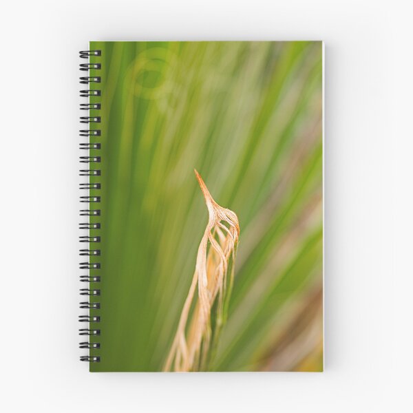 Item preview, New Leaf Of Fan Palm designed and sold by Joy Watson - Natural Light Photography .