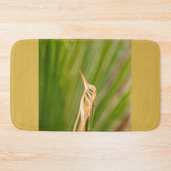 Item preview, New Leaf Of Fan Palm designed and sold by Joy Watson - Natural Light Photography .
