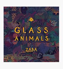 glass animals Photographic Print