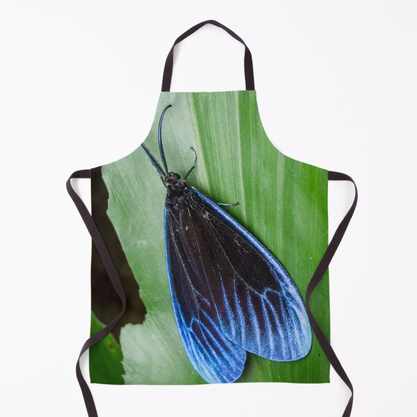 Item preview, A gorgeous Pompelon marginata with shiny blue wing tips! designed and sold by AvonPerception.