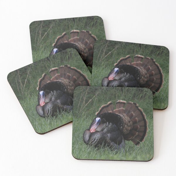 Item preview, Spring Tom Turkey Strutting in green grass designed and sold by ROBERTDBROZEK.