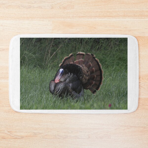 Item preview, Spring Tom Turkey Strutting in green grass designed and sold by ROBERTDBROZEK.