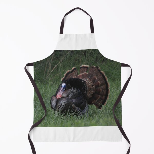Item preview, Spring Tom Turkey Strutting in green grass designed and sold by ROBERTDBROZEK.
