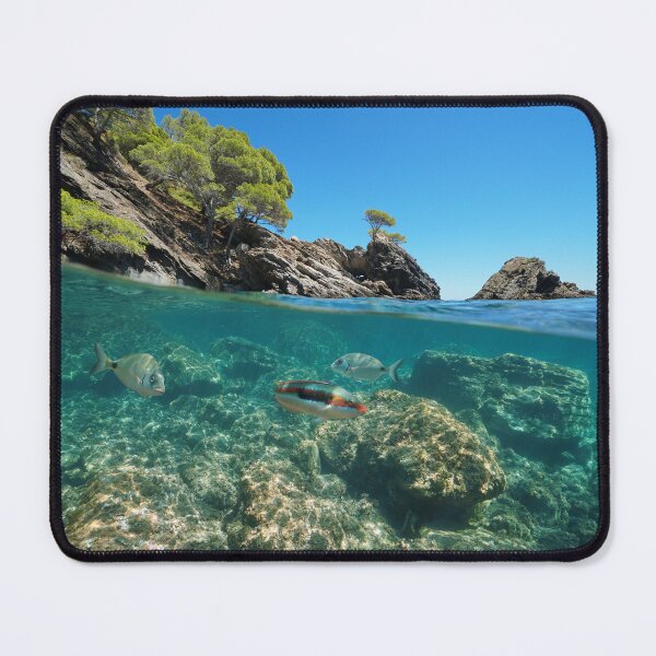 Item preview, Mediterranean sea rocky coast with fish underwater Spain designed and sold by Seaphotoart.
