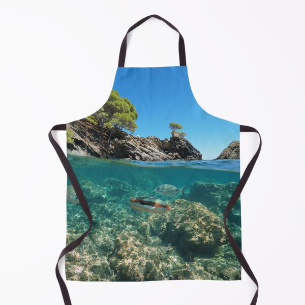 Item preview, Mediterranean sea rocky coast with fish underwater Spain designed and sold by Seaphotoart.