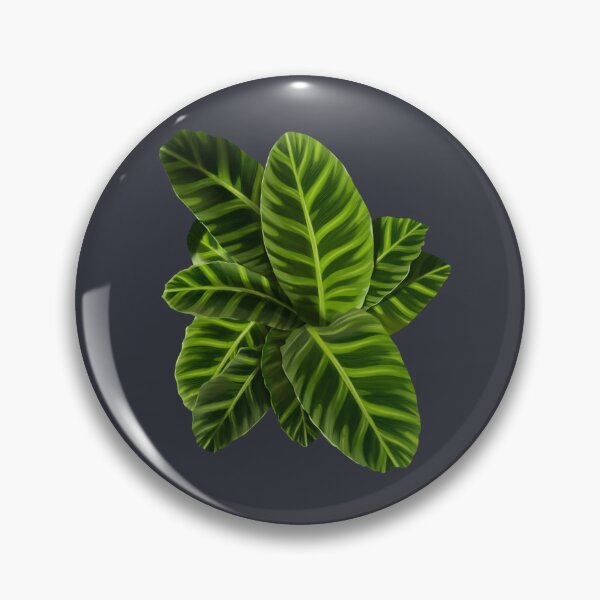 Item preview, calathea designed and sold by TayCreates32.