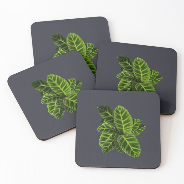 Item preview, calathea designed and sold by TayCreates32.