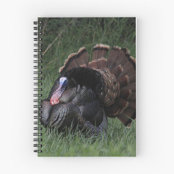 Item preview, Spring Tom Turkey Strutting in green grass designed and sold by ROBERTDBROZEK.