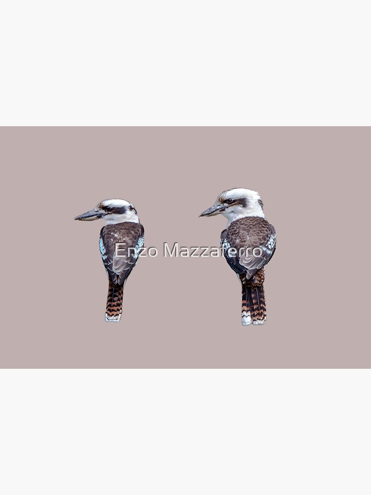 "2 Kookaburras" Metal Print for Sale by entizor Redbubble