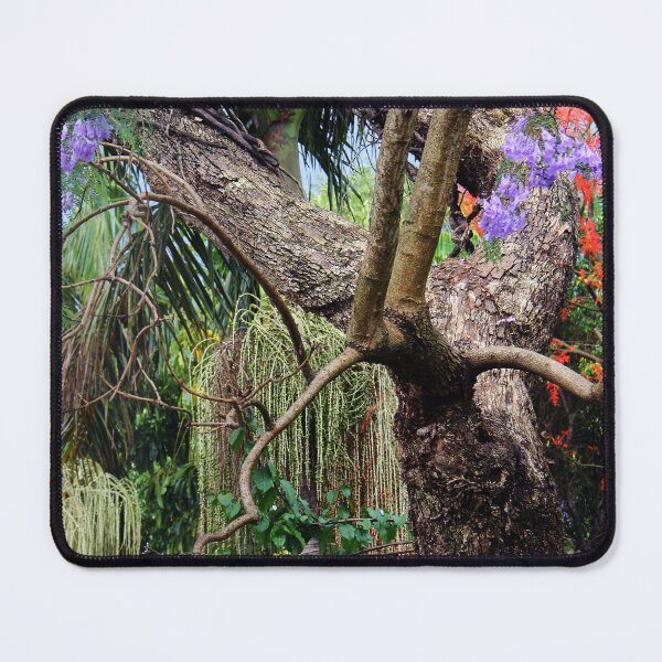 Item preview, Outside My Backdoor designed and sold by Siene Browne.