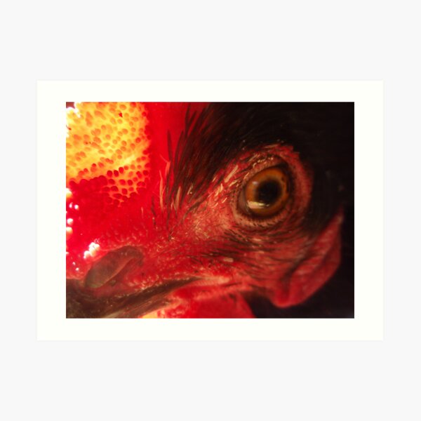 sit on eye Art Print