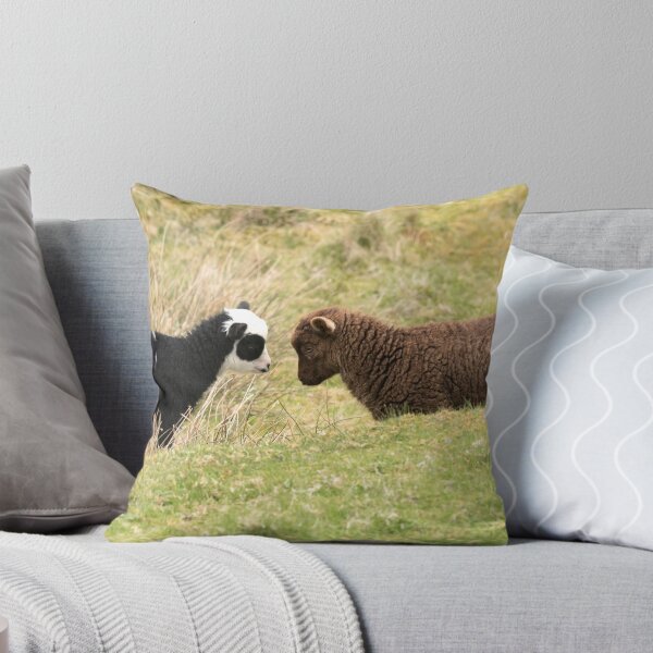 Item preview, Shetland Lambs designed and sold by Chris Monks.