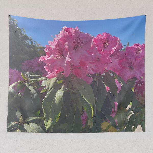 Aperçu de l'œuvre Fleurs roses créée et vendue par Beautyqueens Beautys.