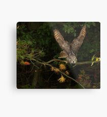On My Radar Metal Print