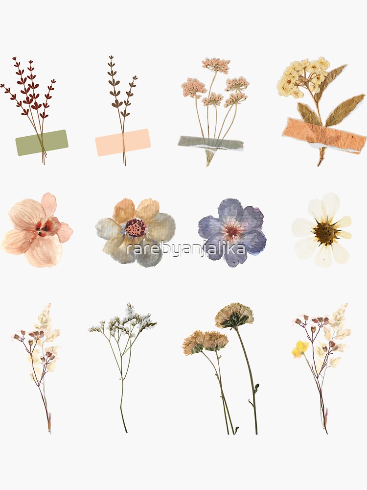 Dried flowers  Flowers, Vintage paper printable, Scrapbook