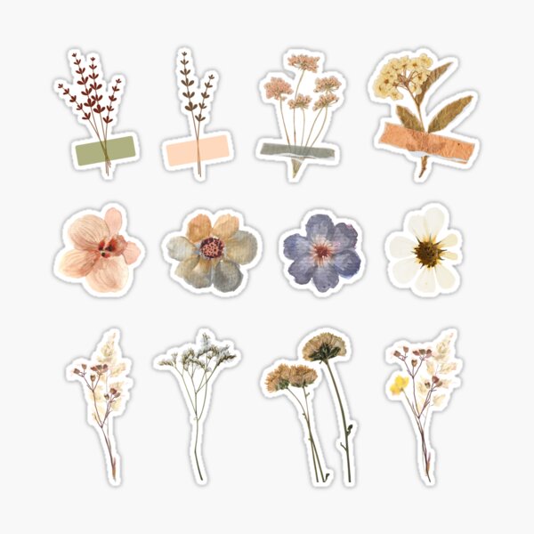 12pcs Dried Flower Aesthetic Stickers for Journals Sticker for