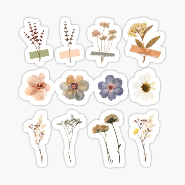 Pressed Flowers 4 Sticker for Sale by Artisma