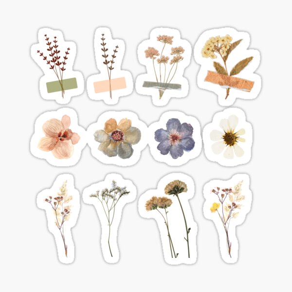 Realistic Pressed Flower Sticker Assortment