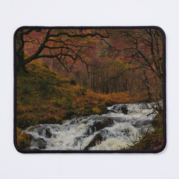 Item preview, full river in the woods designed and sold by Ann Biddlecombe.