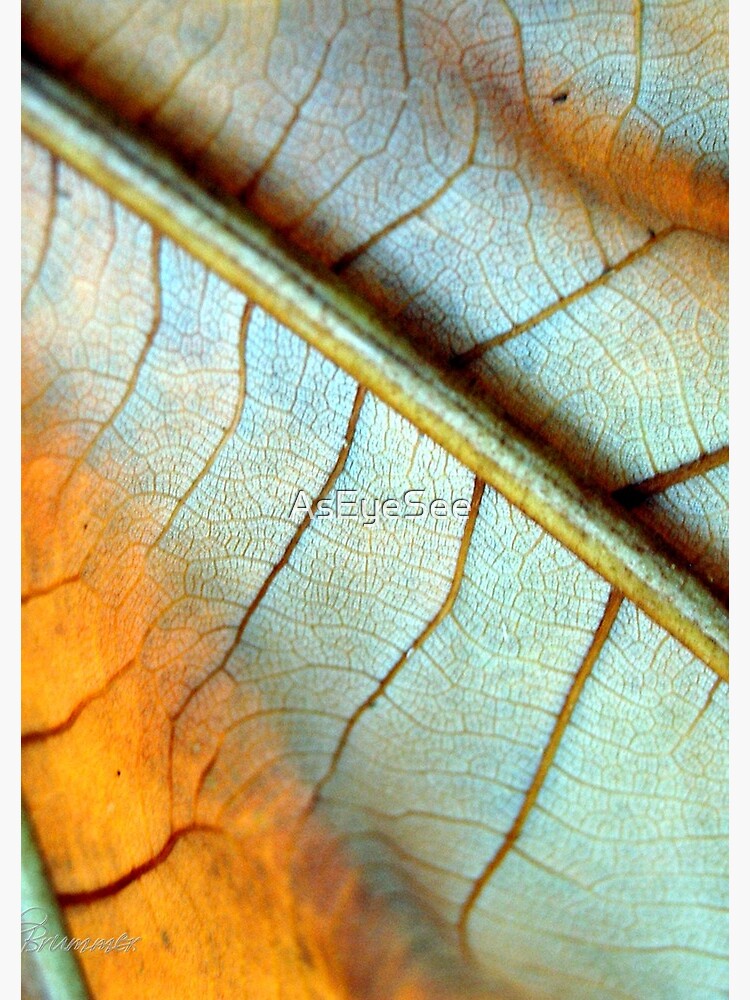 You're So Vein by AsEyeSee