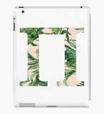 Pi iPad Case/Skin