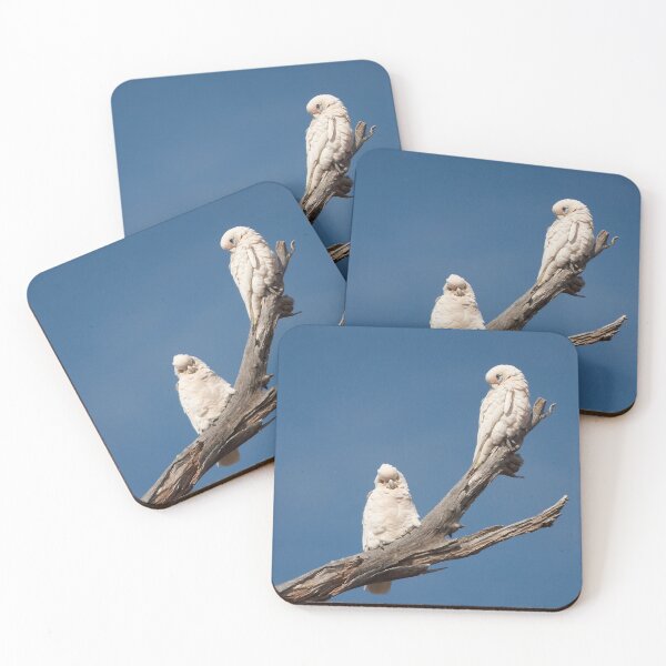 Item preview, Little Corellas designed and sold by Robert Elliott.