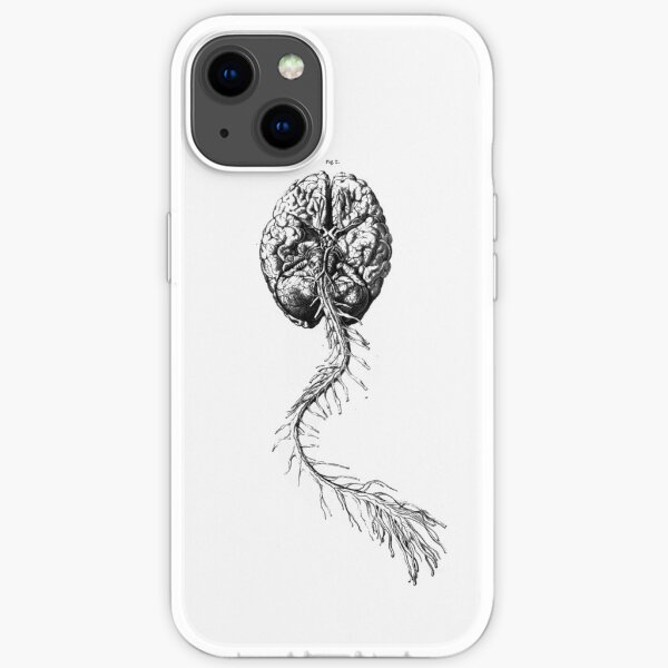 Brain Anatomy iPhone Soft Case