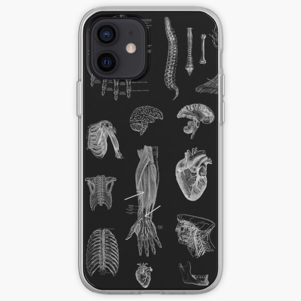 Vintage Anatomy Print iPhone Soft Case