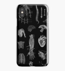Vintage Anatomy Print iPhone Case