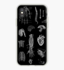 Vintage Anatomy Print iPhone Case